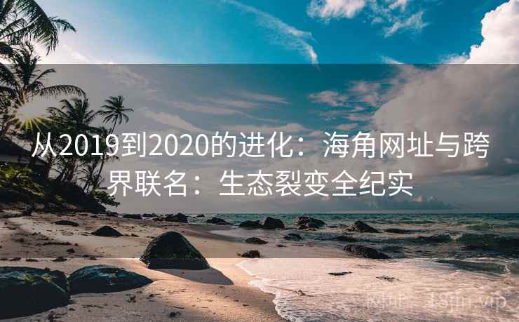 从2019到2020的进化：海角网址与跨界联名：生态裂变全纪实