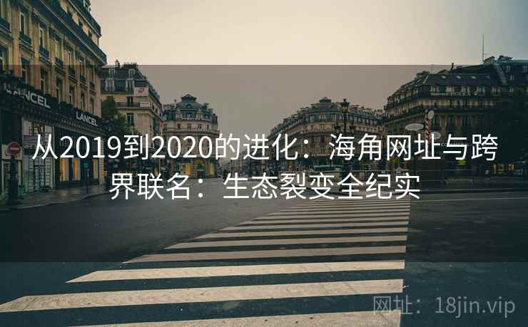 从2019到2020的进化：海角网址与跨界联名：生态裂变全纪实