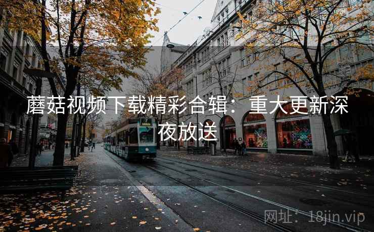 蘑菇视频下载精彩合辑：重大更新深夜放送
