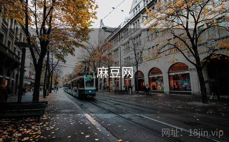 麻豆网 第1张