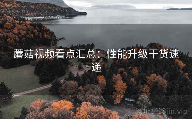 蘑菇视频看点汇总：性能升级干货速递