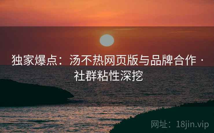 独家爆点：汤不热网页版与品牌合作 · 社群粘性深挖