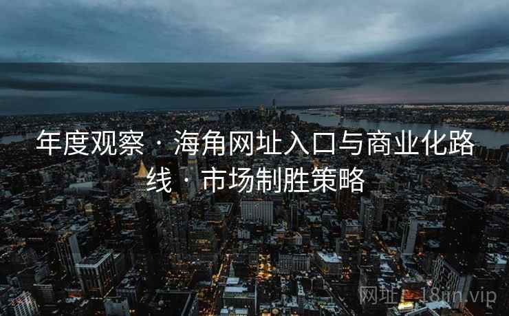 年度观察 · 海角网址入口与商业化路线 · 市场制胜策略
