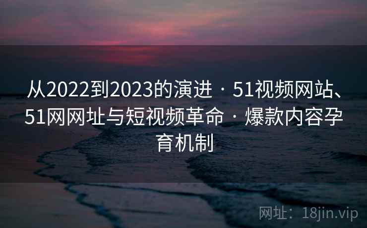 从2022到2023的演进 · 51视频网站、51网网址与短视频革命 爆款内容孕育机制  第2张