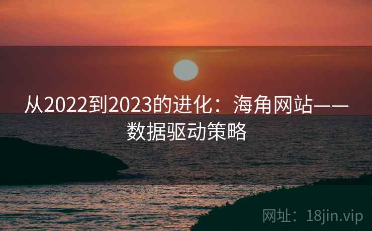 从2022到2023的进化：海角网站——数据驱动策略  第2张