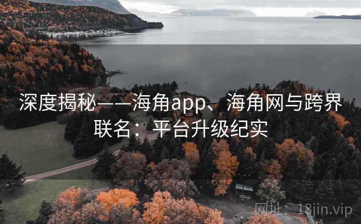 深度揭秘——海角app、海角网与跨界联名：平台升级纪实  第1张