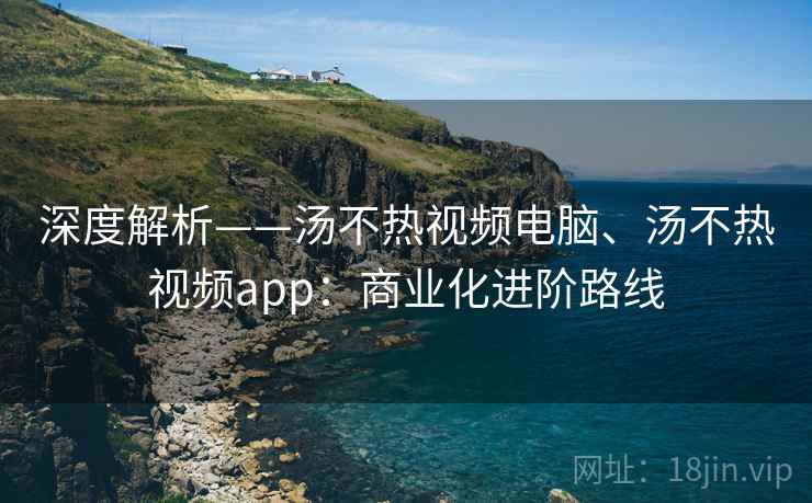 深度解析——汤不热视频电脑、汤不热视频app：商业化进阶路线  第2张