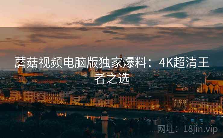 蘑菇视频电脑版独家爆料：4K超清王者之选  第2张