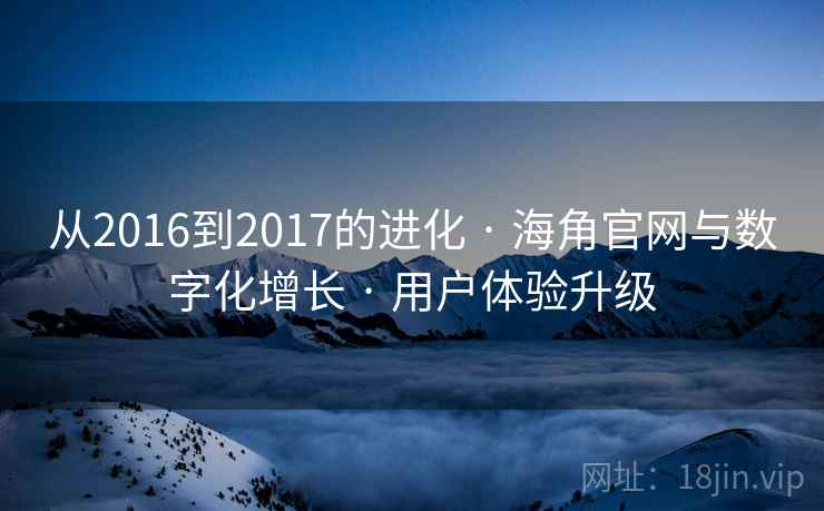 从2016到2017的进化 · 海角官网与数字化增长 用户体验升级  第2张