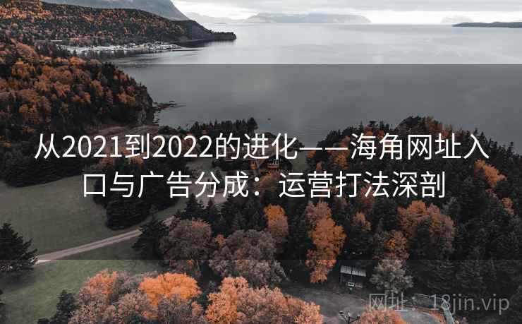 从2021到2022的进化——海角网址入口与广告分成：运营打法深剖  第2张