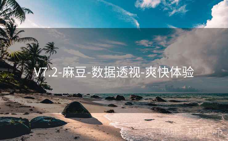 V7.2-麻豆-数据透视-爽快体验  第1张