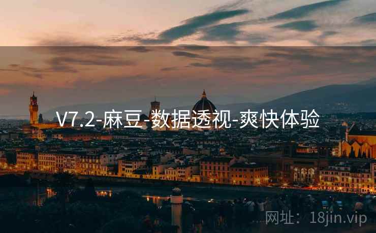 V7.2-麻豆-数据透视-爽快体验  第2张
