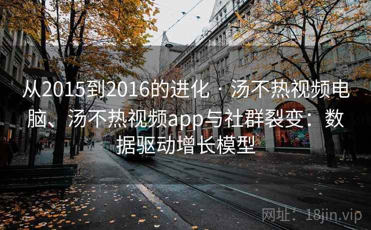 从2015到2016的进化 · 汤不热视频电脑、汤不热视频app与社群裂变：数据驱动增长模型  第2张