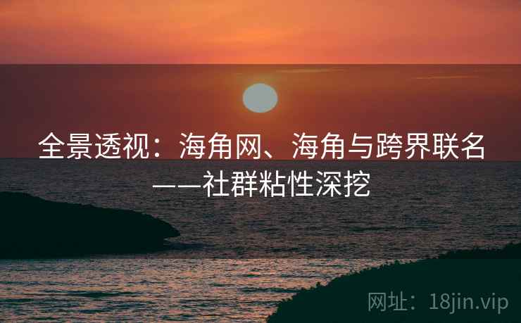 全景透视：海角网、海角与跨界联名——社群粘性深挖