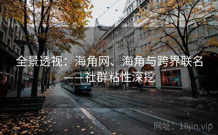 全景透视：海角网、海角与跨界联名——社群粘性深挖  第2张